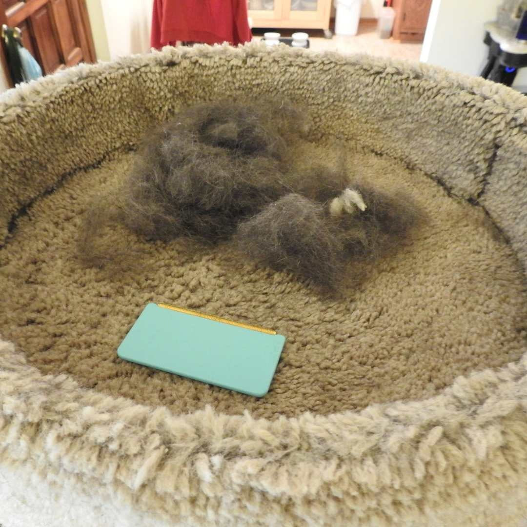 Carpet Scraper Broom