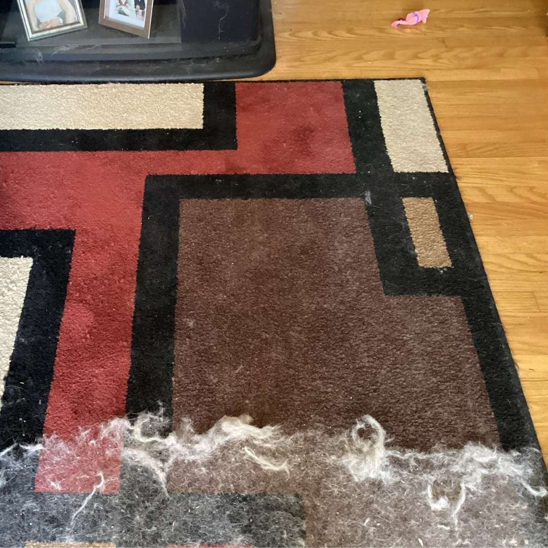 Carpet Scraper Broom