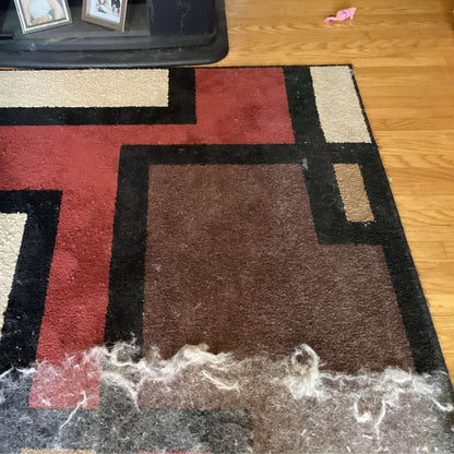 Carpet Scraper Broom